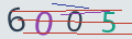verifycode